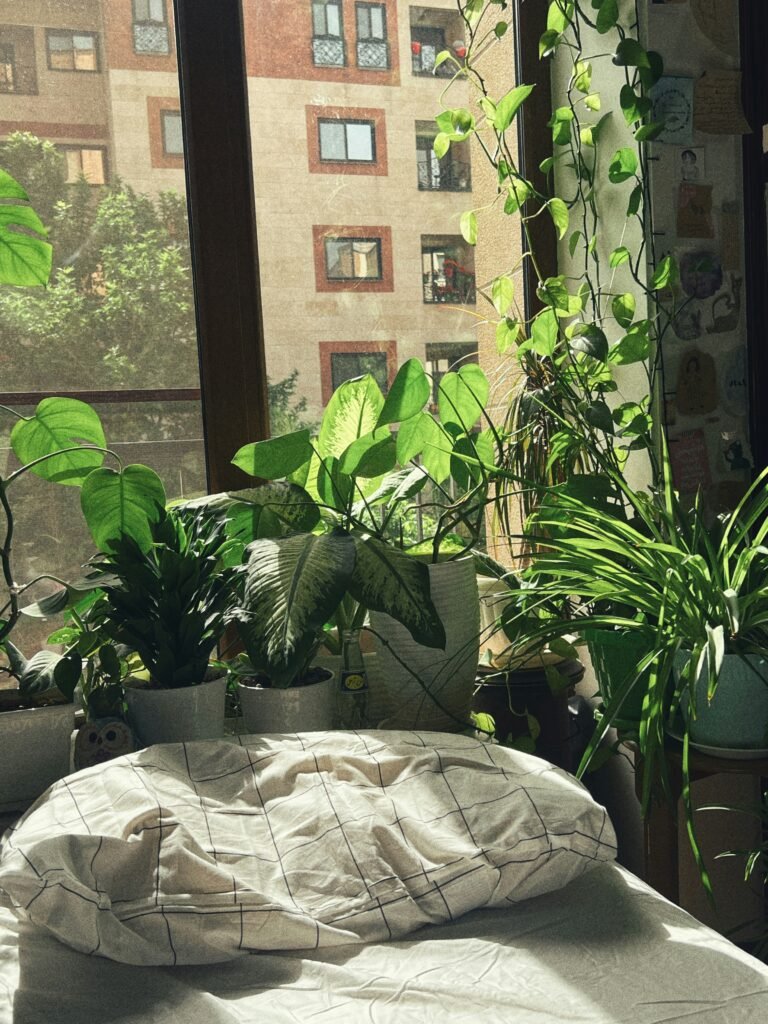 dorin mottaghi lnfxxe72jgc unsplash